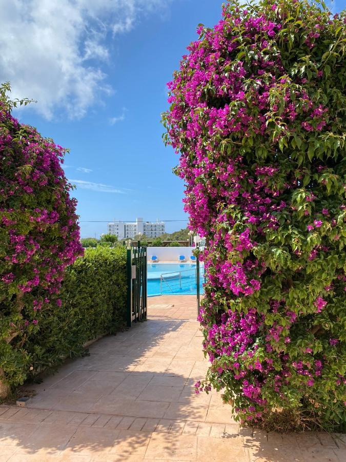 Apartament Sa Farola - Ac, Wifi , Pool, Beach カラ・エン・ブラネス エクステリア 写真